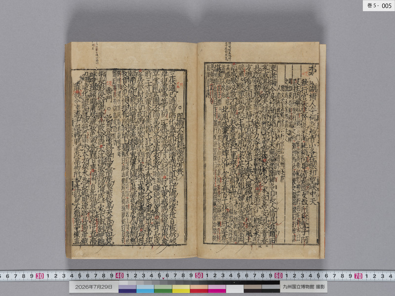 画像番号：124565　2026/07/29　巻5-本紙05