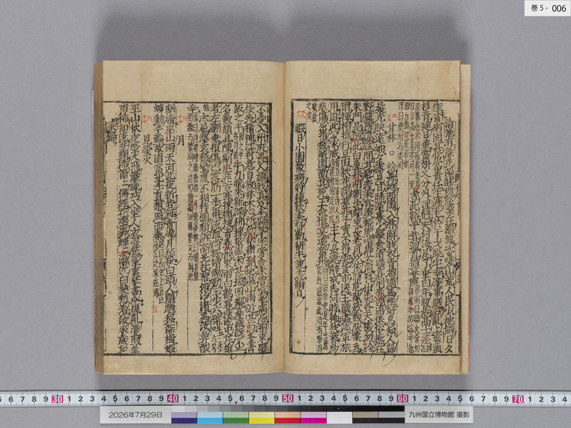 画像番号：124566　2026/07/29　巻5-本紙06
