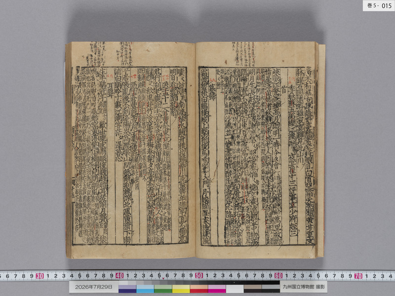 画像番号：124575　2026/07/29　巻5-本紙15
