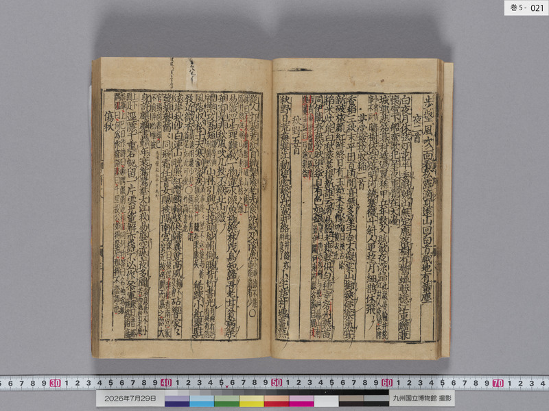 画像番号：124581　2026/07/29　巻5-本紙21