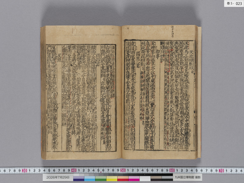 画像番号：124583　2026/07/29　巻5-本紙23