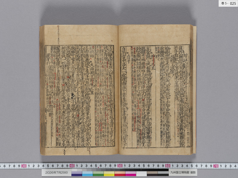 画像番号：124585　2026/07/29　巻5-本紙25