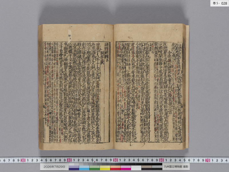 画像番号：124588　2026/07/29　巻5-本紙28