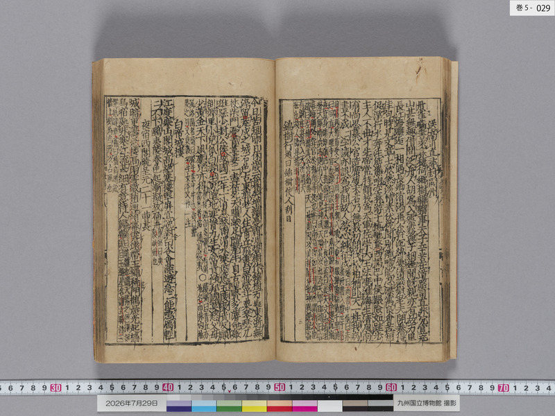 画像番号：124589　2026/07/29　巻5-本紙29