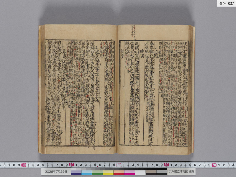 画像番号：124597　2026/07/29　巻5-本紙37