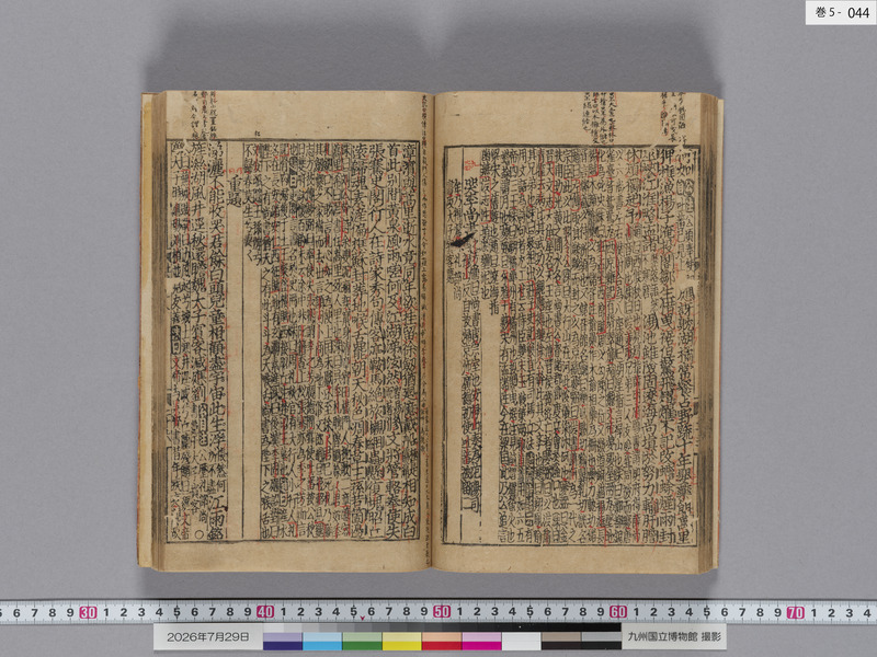 画像番号：124604　2026/07/29　巻5-本紙44