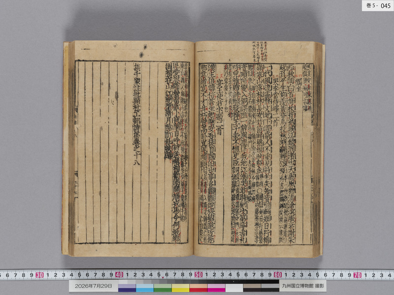 画像番号：124605　2026/07/29　巻5-本紙45