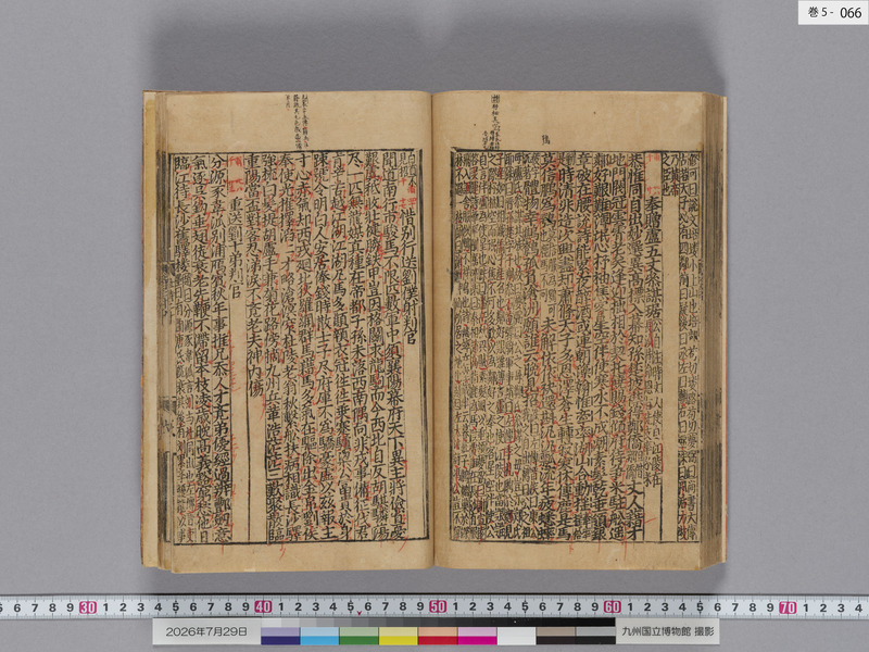 画像番号：124626　2026/07/29　巻5-本紙66
