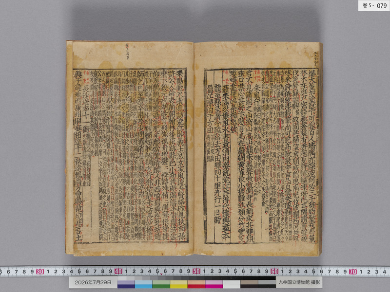 画像番号：124639　2026/07/29　巻5-本紙79