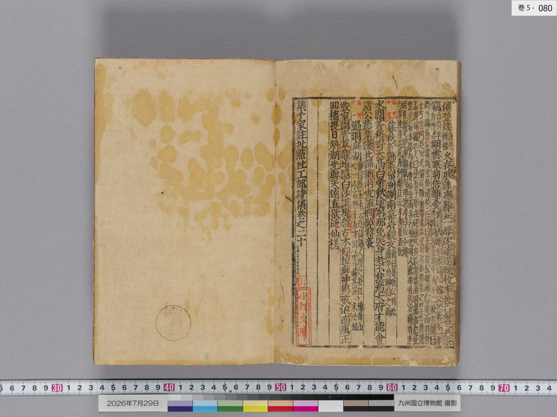 画像番号：124640　2026/07/29　巻5-本紙80