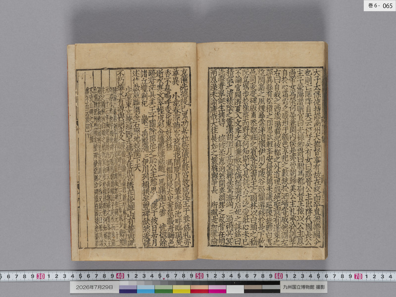 画像番号：124707　2026/07/29　巻6-本紙65