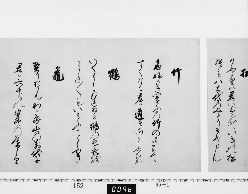 画像番号：064128　2003/06/04　-