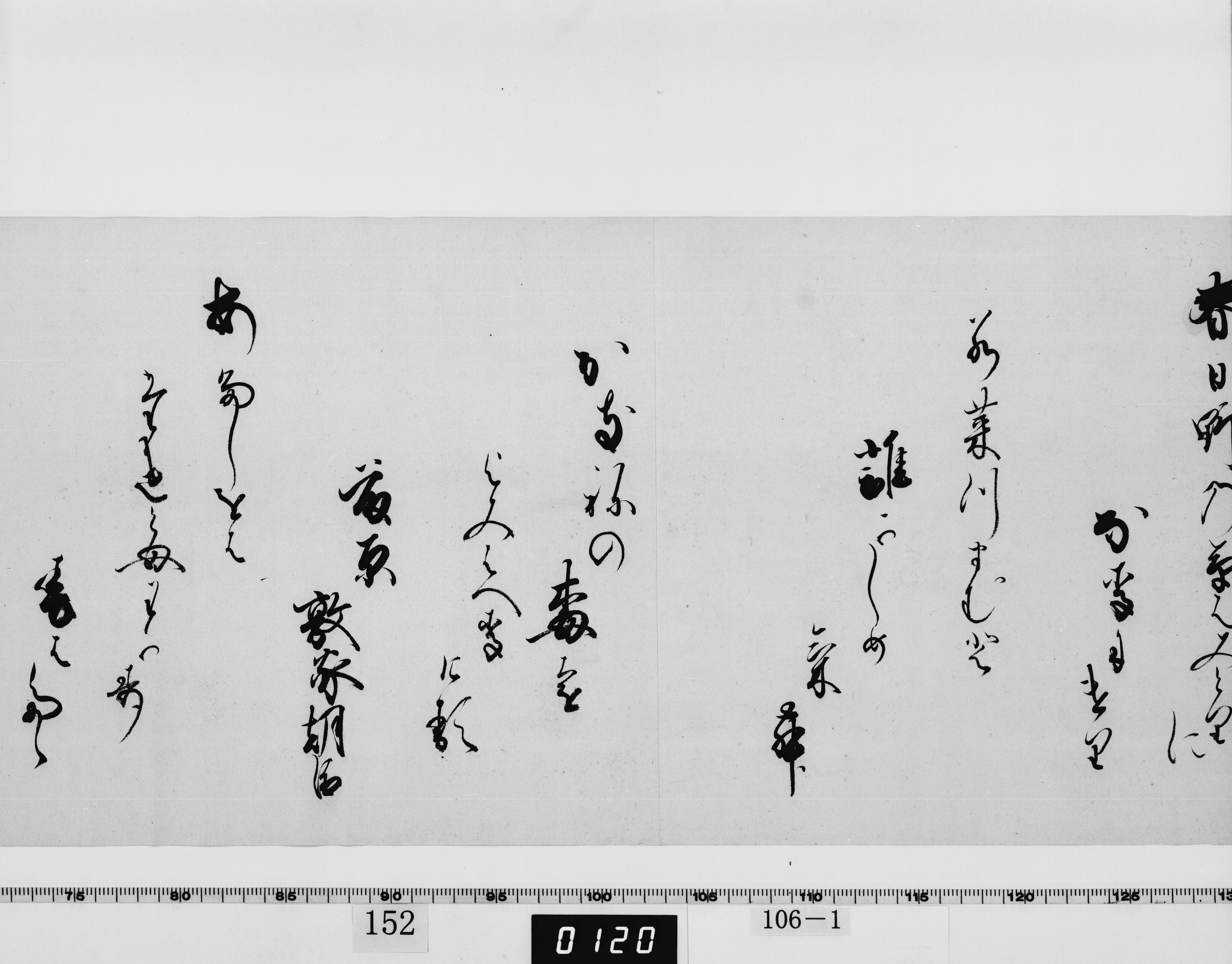 重要文化財　寛寿院筆和歌（対馬宗家文書）　1巻