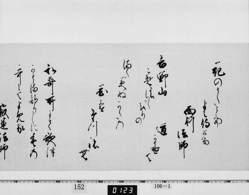 画像番号：064149　2003/06/05　-