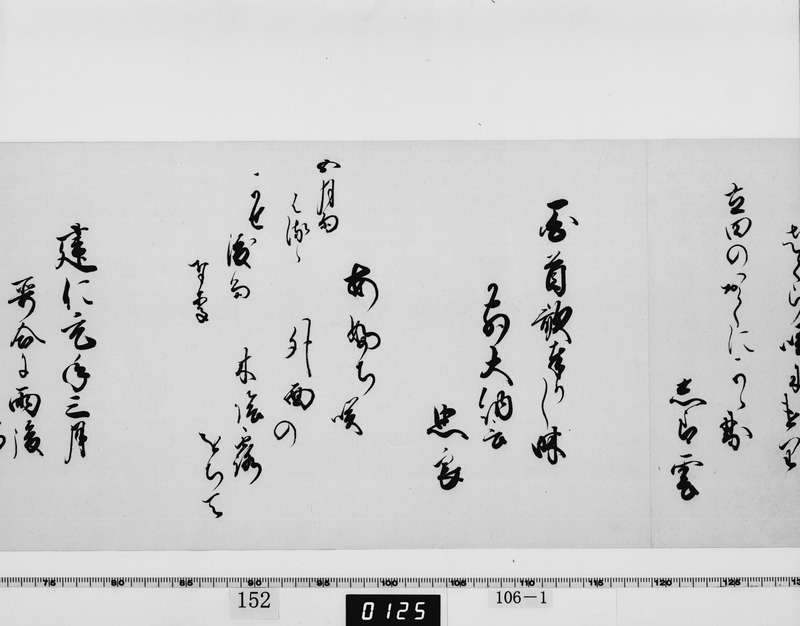 画像番号：064151　2003/06/05　-