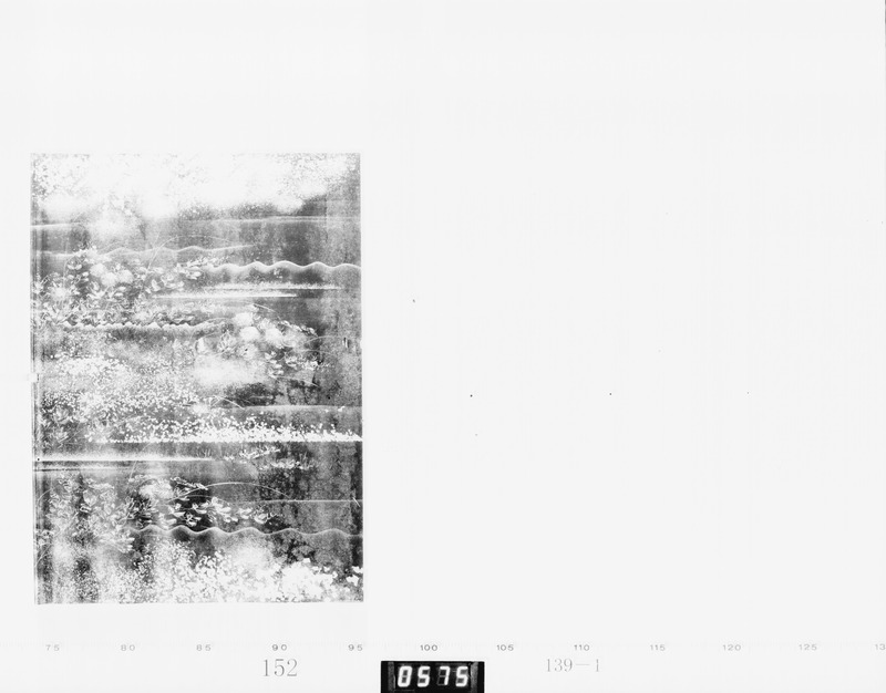 画像番号：067867　2003/06/06　-