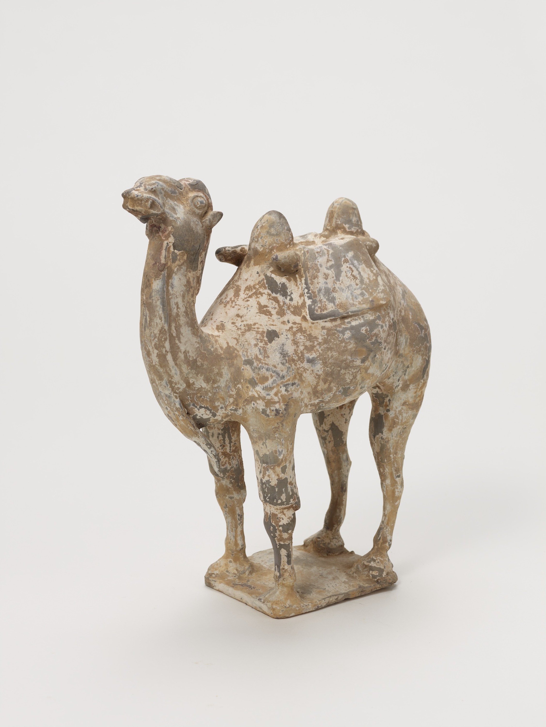 九州国立博物館 | 収蔵品ギャラリー | 加彩駱駝
